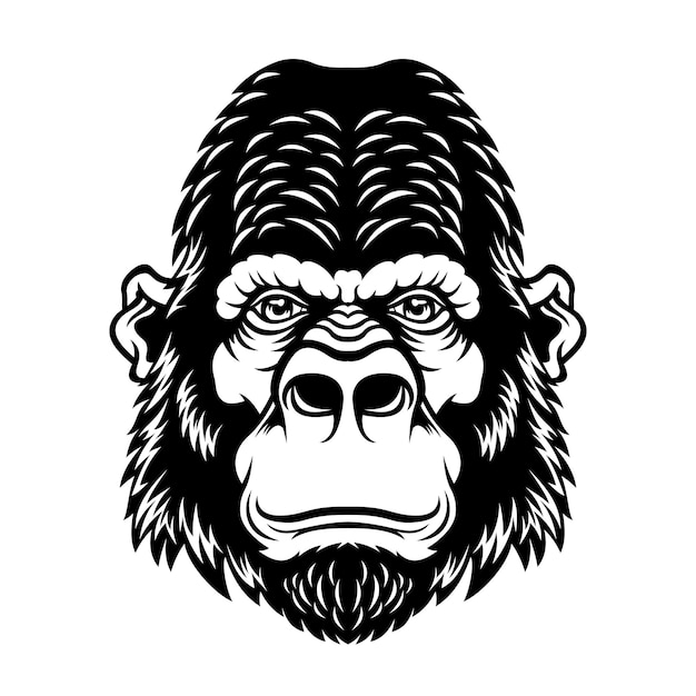 Vector funny monkey.