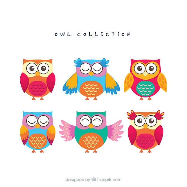 Funny owl collection