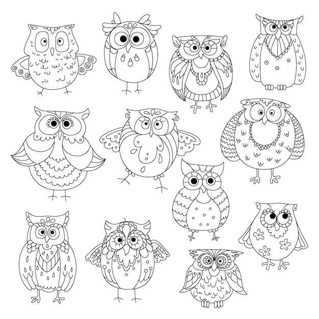 Vector funny owls and young owlets sketch symbols