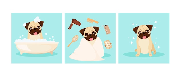 Funny pug is washing in the bathroom grooming cartoon design