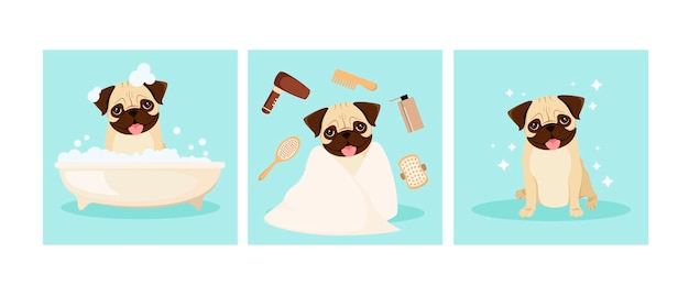 Vector funny pug is washing in the bathroom grooming cartoon design