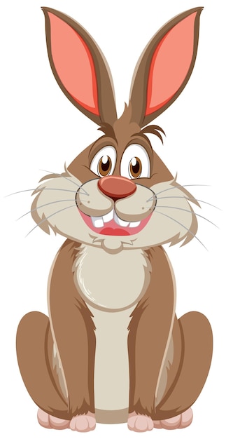 Funny Rabbit Cartoon Character