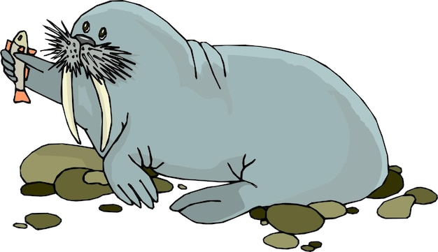 Vector funny seal comic handdrawn animal cartoon character vector illustration