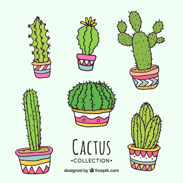 Funny set of hand drawn cactus