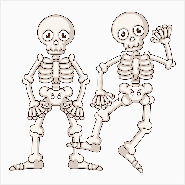 Vector funny skeleton poses illustration