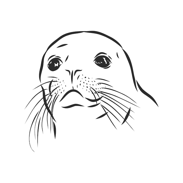 Funny sketch of a sea lion  navy seal animal vector sketch illustration