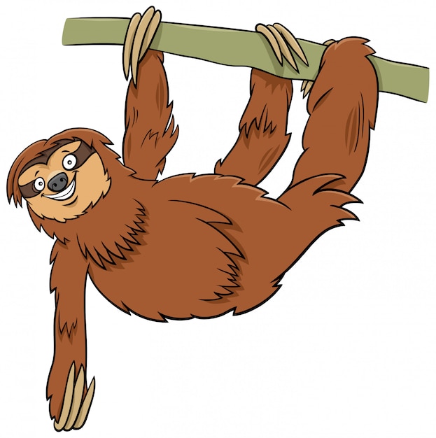 Funny sloth cartoon animal character on branch