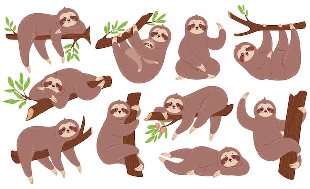 Funny sloths hanging on branch climbing tree sleeping. Cute baby animal with mother vector set