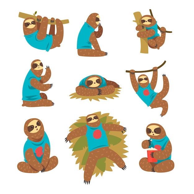 Vector funny sloths set lazy exotic rainforest animal character in different postures vector illustrations isolated on a white background