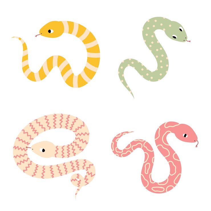 Vector 재미있는  세트 귀여운 의 doodle 예술 x9