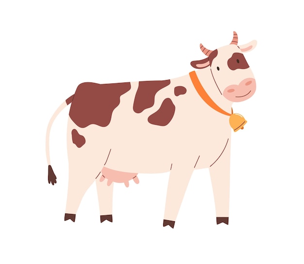 Funny spotty cow with bell on neck. Farm milk animal with udder. Childish flat vector illustration isolated on white background.