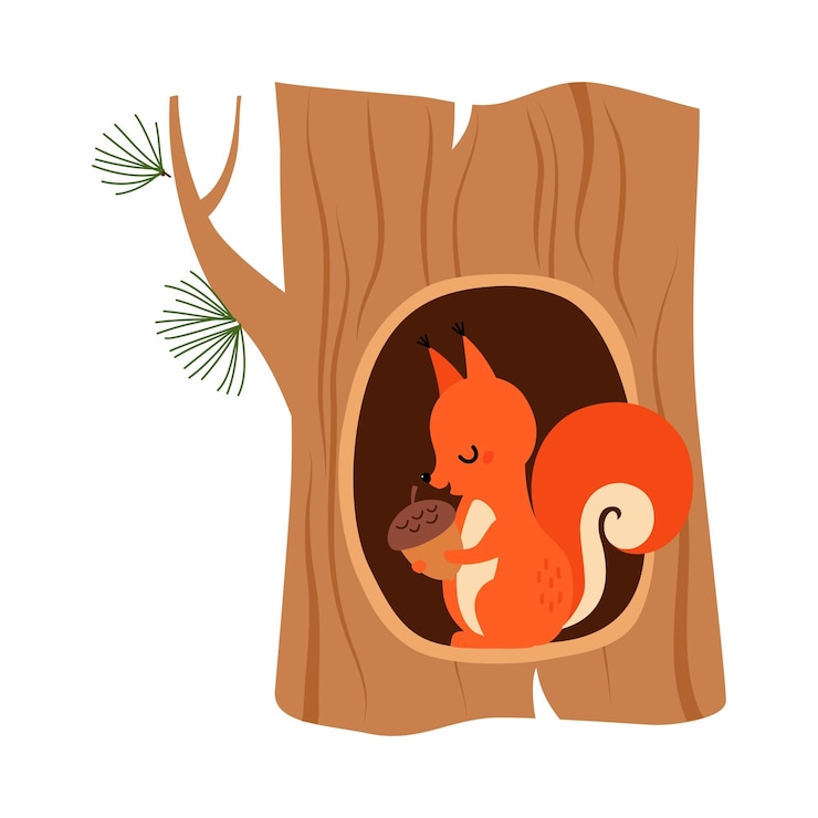 Vector funny squirrel as forest animal sitting in tree hollow with acorn vector illustration