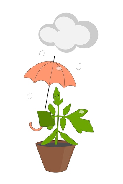 Vector funny tomato seedlings in a pot a gray cloud and raindrops over an umbrella