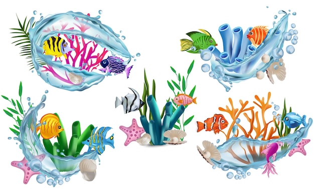 Funny Tropicals colorful fish seaweed corals starfish shell with pearl shell water splash