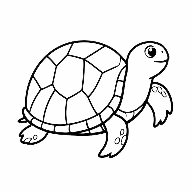 Vector funny trutle drawing illustration for kids books