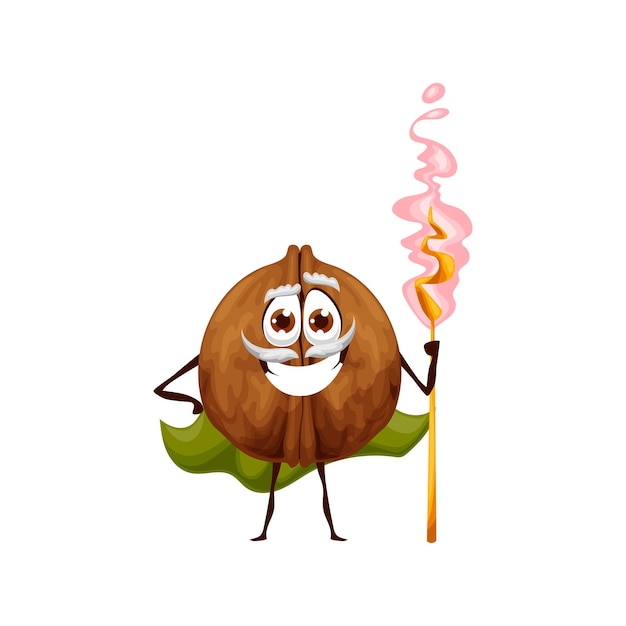 Funny walnut wizard character vector magician nut