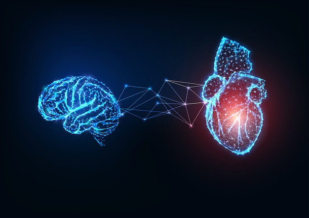 Cervello e cuore collegati poligonali bassi incandescenti futuristici degli organi su fondo blu scuro.