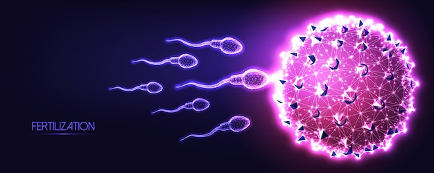 futuristic natural fertilization concept with glowing low polygonal human sperm and egg cells on dark blue to purple background.