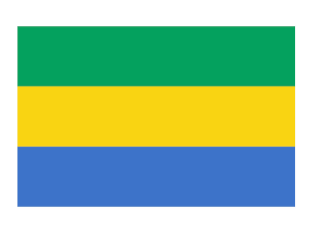 Флаг Габона Официальный флаг страны Значок мирового флага Значок международного флага