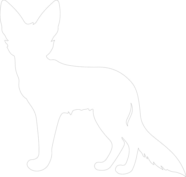 Vector galagos outline with transparent background