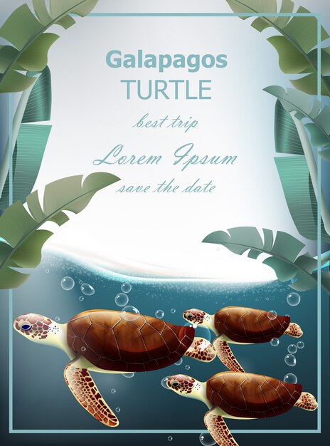 Vector galapagos turtles summer undersea card