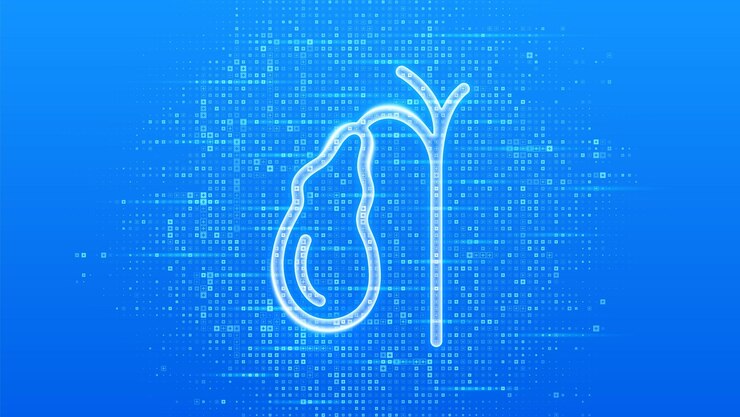 Vector gallbladder icon treatment and prevention of gallstone disease cholecystitis cholecystectomy biliary dyskinesia blue medical background made with cross shape symbol vector illustration