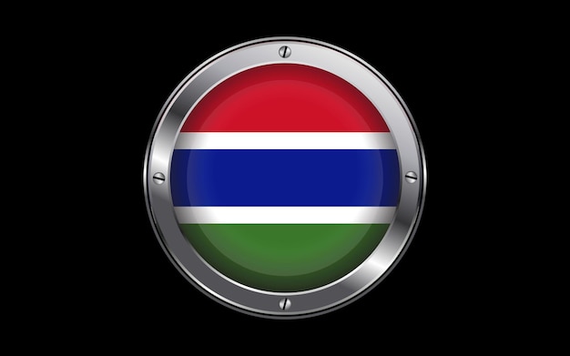 Gambia flag in 3d vector