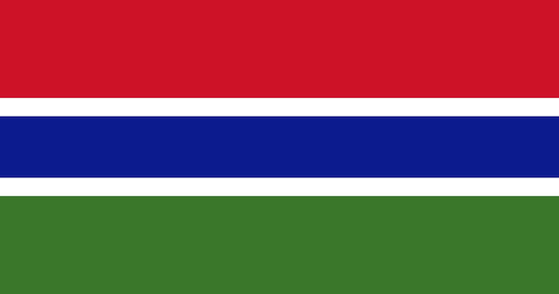 Gambia flag in vector