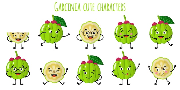 Garcinia fruit schattige grappige vrolijke karakters met verschillende poses en emoties