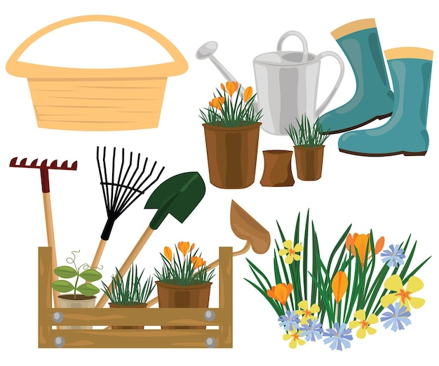 garden 4