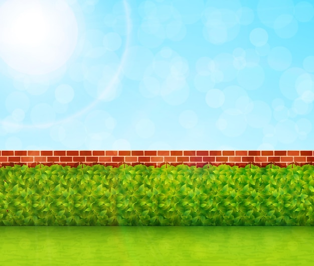 Garden background with green grass and brick wall vector