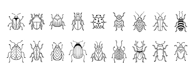 garden bugs hand drawn outline doodle icon set garden bugs drawing elements simple line beetle