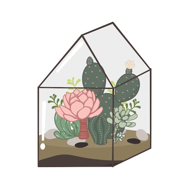 Garden of cactus and succulent plants inside a terrarium.