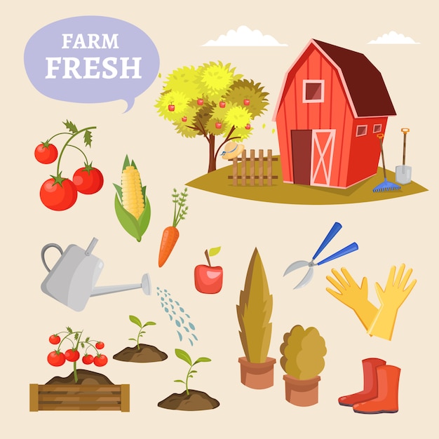 벡터 정원 화려한 디자인 요소 농장 그림 아이콘 다른 원 예 장비, 도구, 야채 및 식물의 집합입니다.