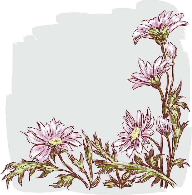 Vector garden daisies