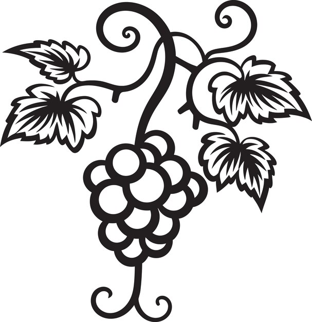 Garden Elegance Black Vector Grapevine Symbol Vineyard Harvest Grapevine with Grapefruit Emblem