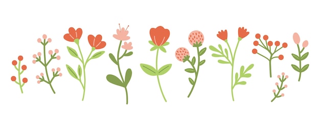 Set di piante floreali da giardino. semplici piante da fiore doodle isolate su sfondo bianco. appartamento colorato