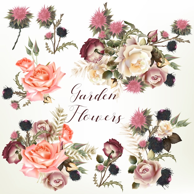 Vector garden flowers collection