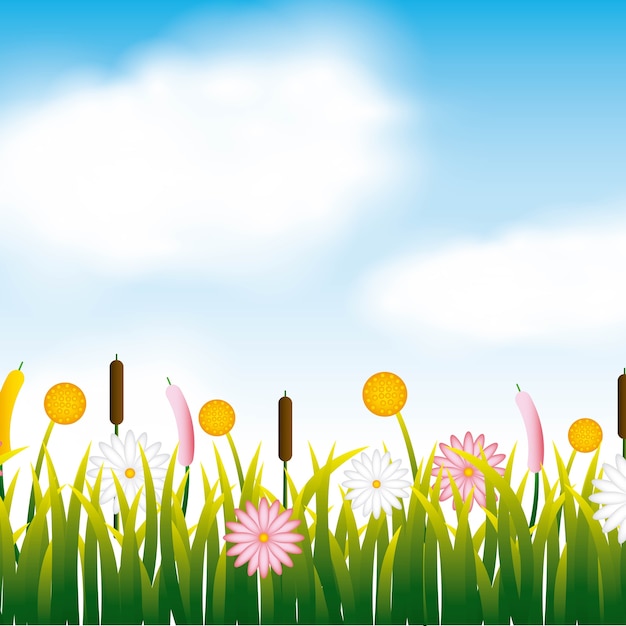garden flowers and grass field
