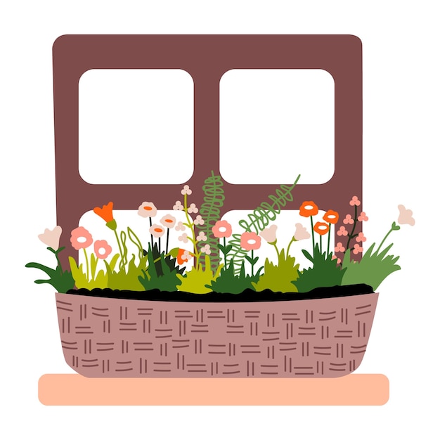 Garden flowers and herbs in a wicker basket on the window. Spring home decoration. Vector