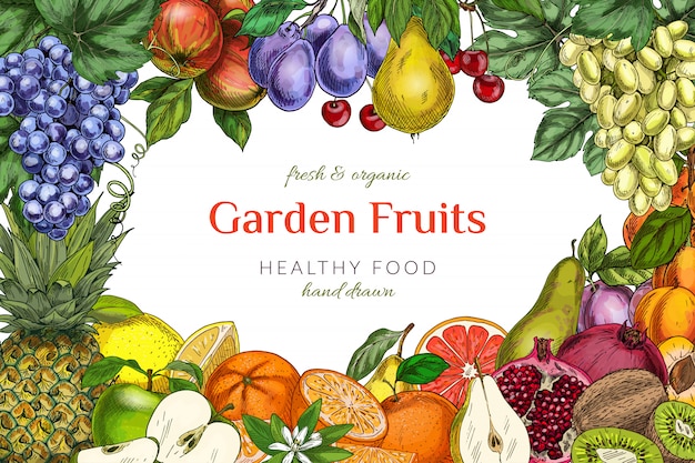 Garden fruits frame template