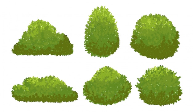 Garden green bushes. Cartoon shrub and bush vector set isolated