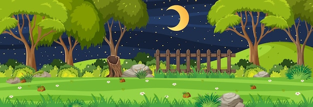 garden at night time horizontal scene