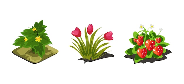 Garden plants tulips strawberries game user interface nature elements for video computer games vector Illustration web design