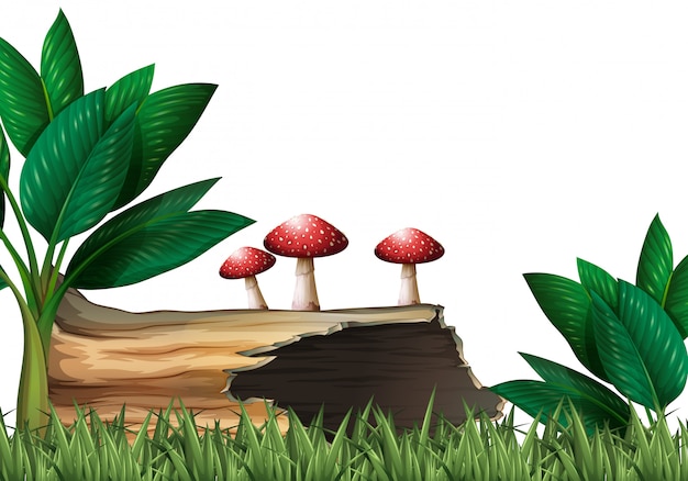Garden scene with log and mushrooms