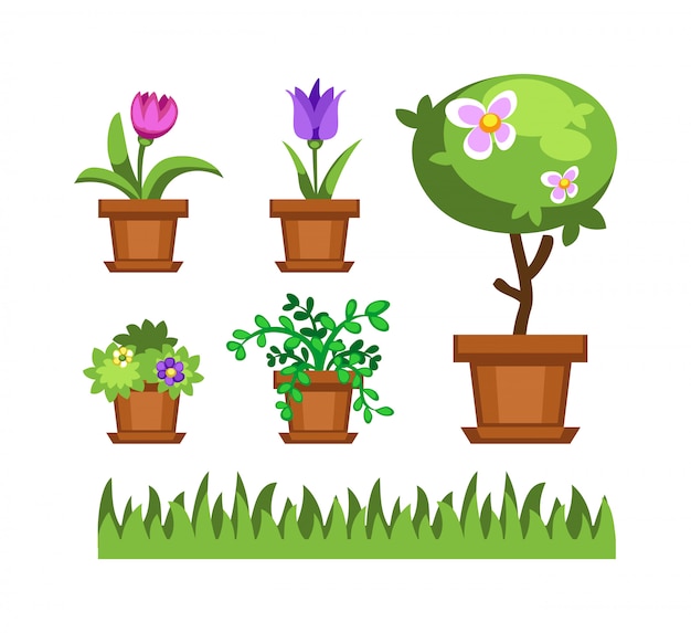 Garden tree and flowers vector