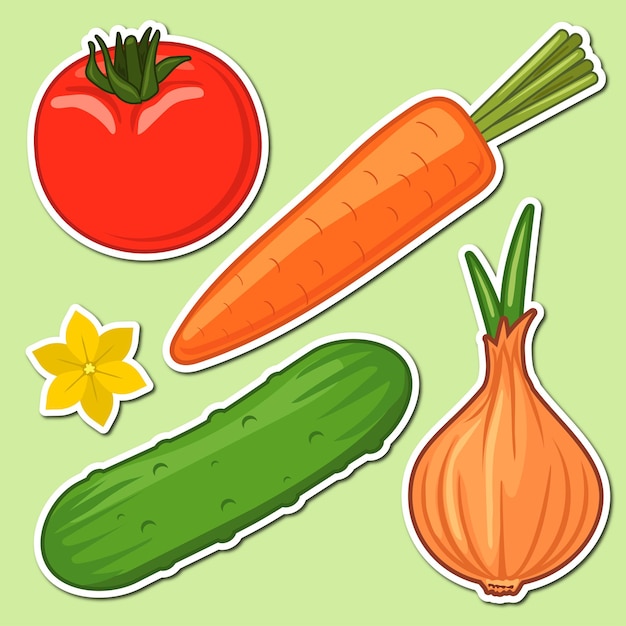 Garden vegetables