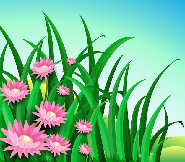 Vector a garden with daisy flowers