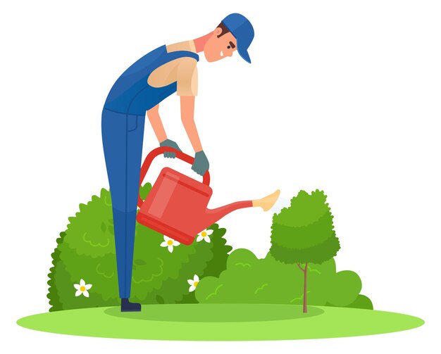 Vector garden worker watering plants in park outdoor greenery isolated on white background