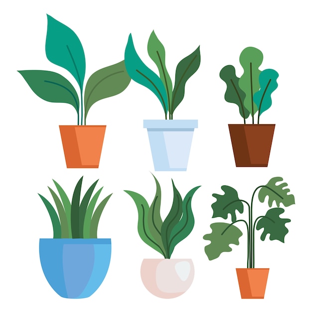 Vector gardening plants insde pots set design, garden planting and nature theme